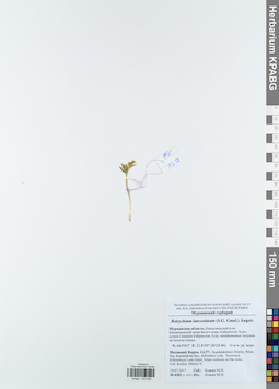 KPABG043902