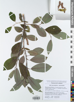 KPABG043940