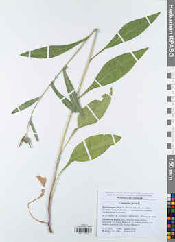 KPABG043942