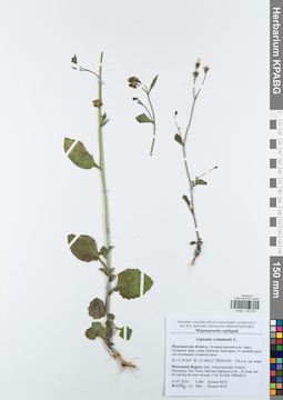 KPABG043976