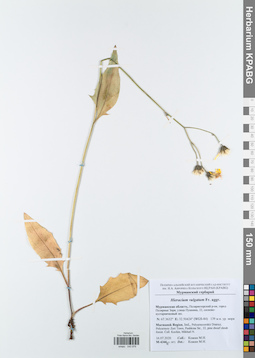 KPABG043979