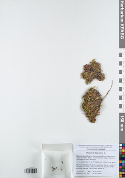 KPABG044017