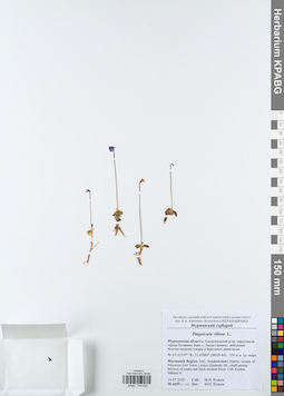 KPABG044020