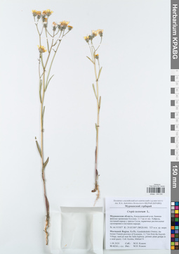 KPABG044030