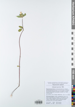 KPABG044034