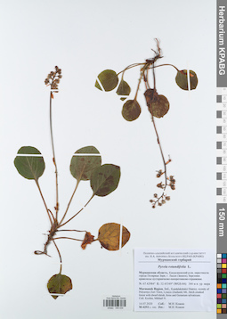 KPABG044035