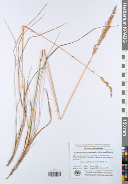 KPABG044197