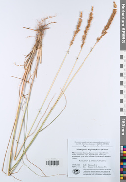KPABG044207