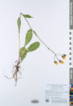 KPABG044219