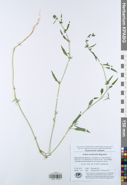 KPABG044230