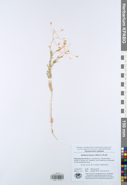 KPABG044232