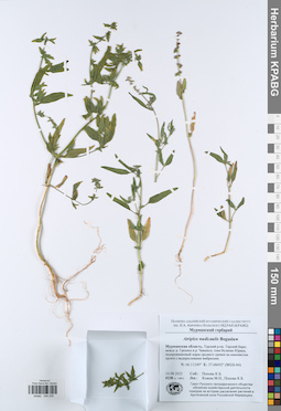 KPABG044235