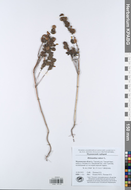KPABG044236