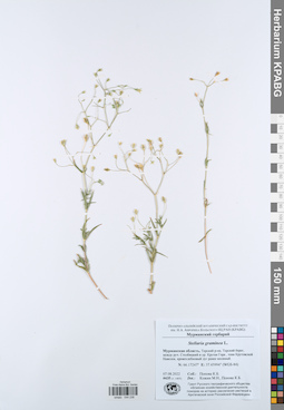 KPABG044238