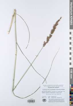 KPABG044240