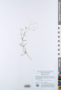 KPABG044242