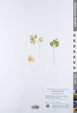 KPABG044262