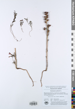 KPABG044271