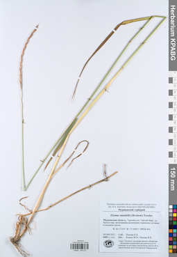 KPABG044273