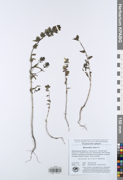 KPABG044276