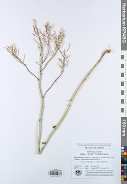 KPABG044297