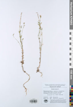 KPABG044298