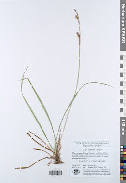 KPABG044303