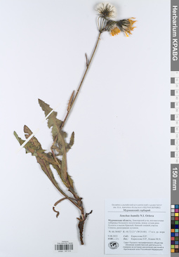 KPABG047014