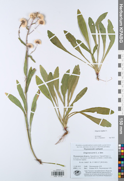 KPABG047694