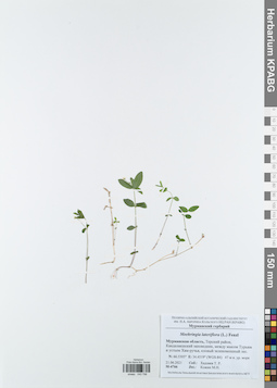 KPABG043798