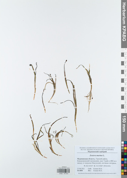 KPABG043820