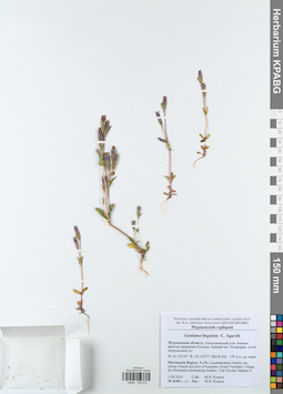 KPABG044074