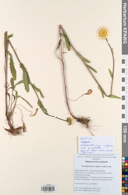 KPABG046915