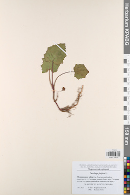 KPABG046967
