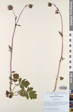 KPABG046969