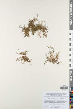 KPABG046971