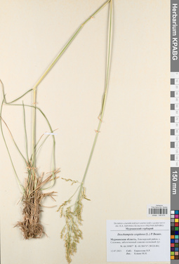 KPABG046974