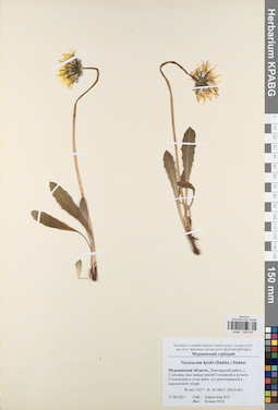 KPABG046976