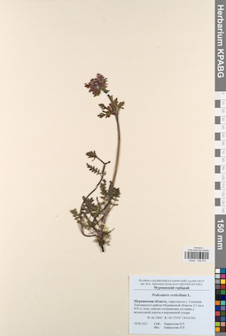 KPABG046979
