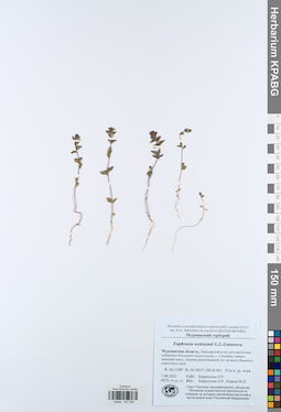 KPABG047598