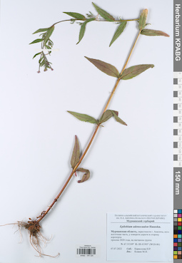 KPABG044328