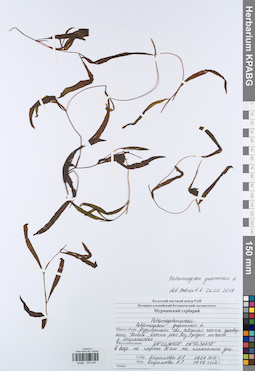KPABG044329