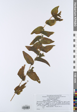KPABG044331