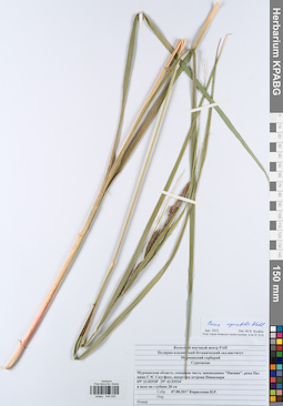 KPABG044339