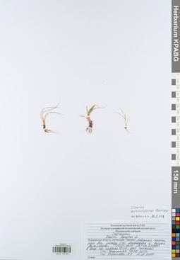KPABG044342