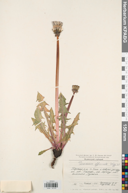 KPABG044343
