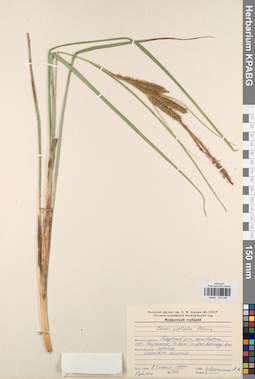 KPABG044345