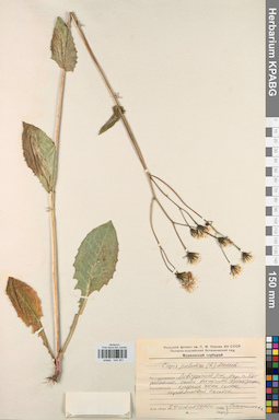 KPABG044351