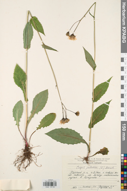 KPABG044352
