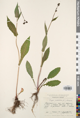 KPABG044354